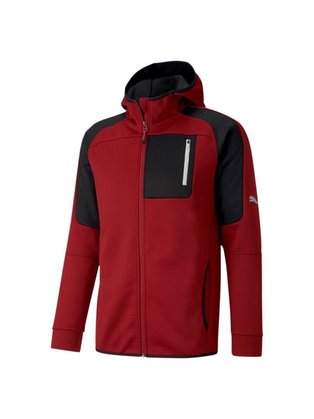 Puma Evostrıpe Fz Warm Hoodie Erkek Sweatshirts - 58347250
