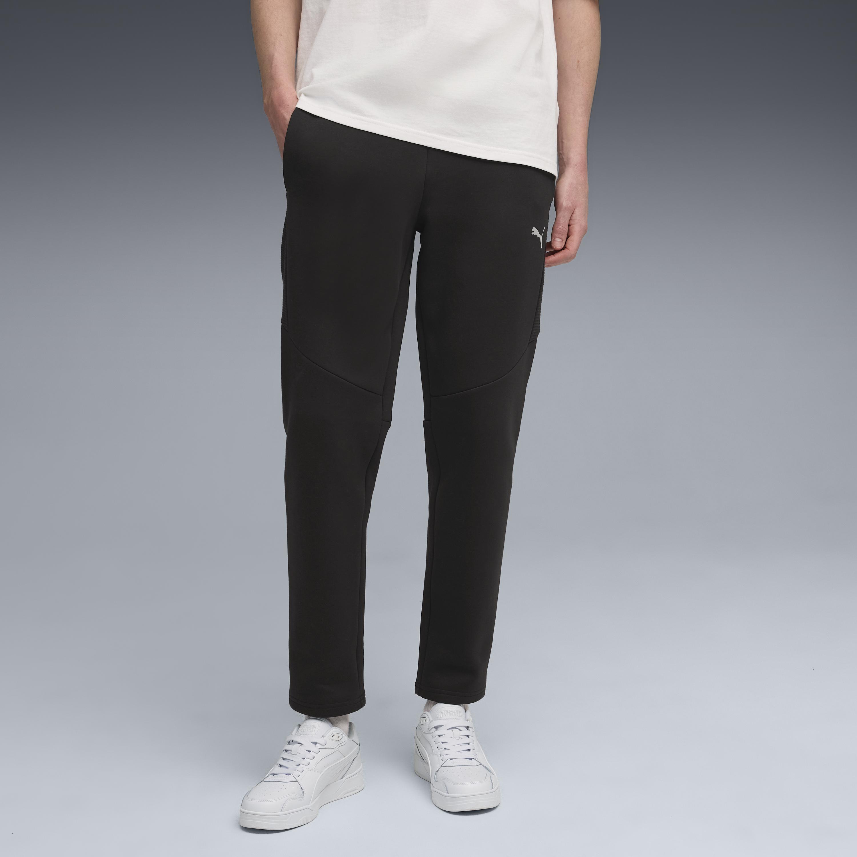 Puma Evostrıpe Pants Dk Erkek Yetişkin Eşofman Altı