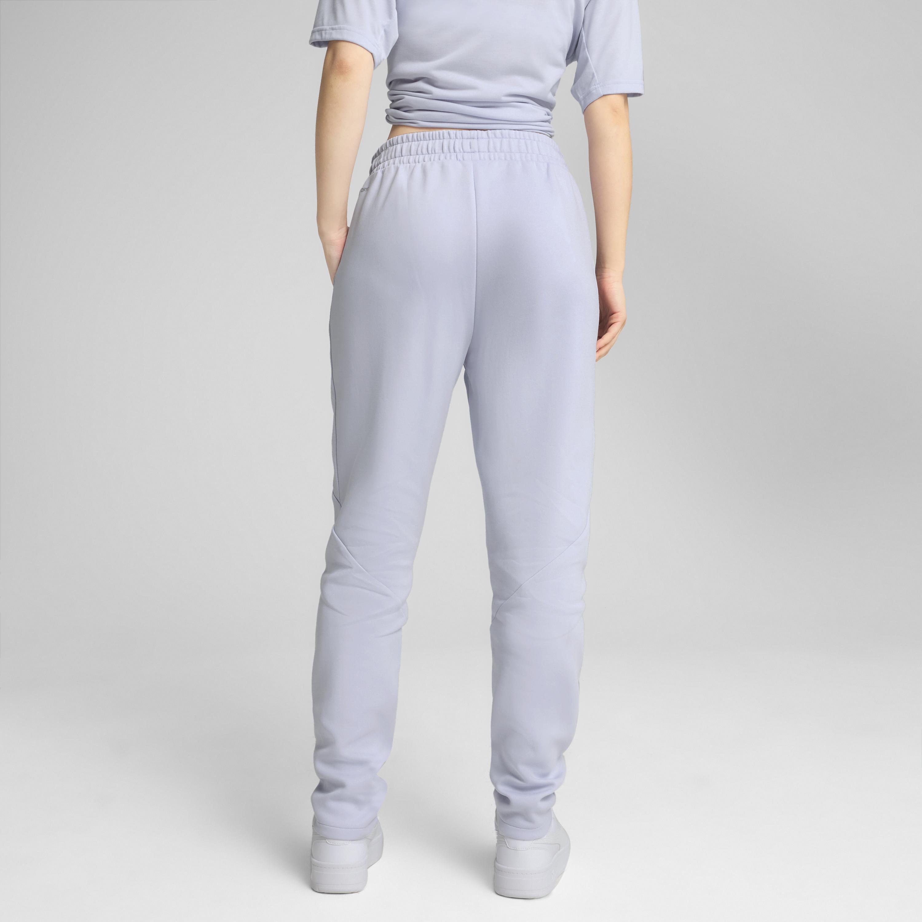 Puma Evostrıpe Sweatpants Kadın Eşofman Altı