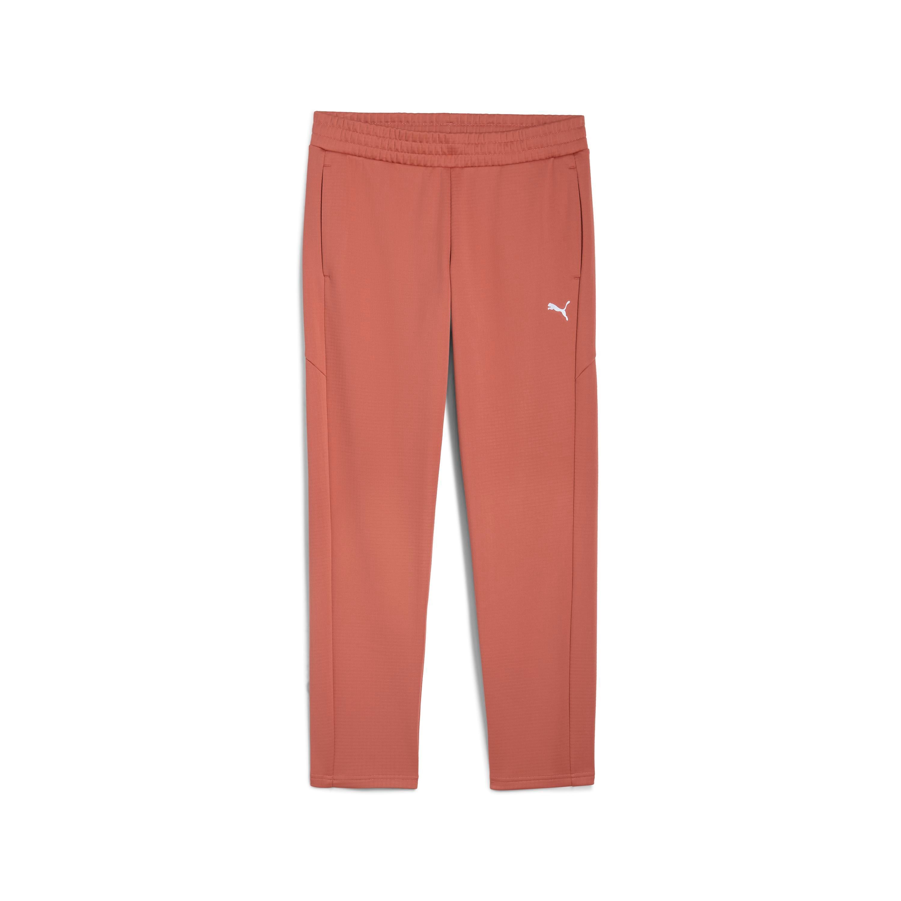 Puma Evostrıpe Sweatpants Kadın Yetişkin Eşofman Altı