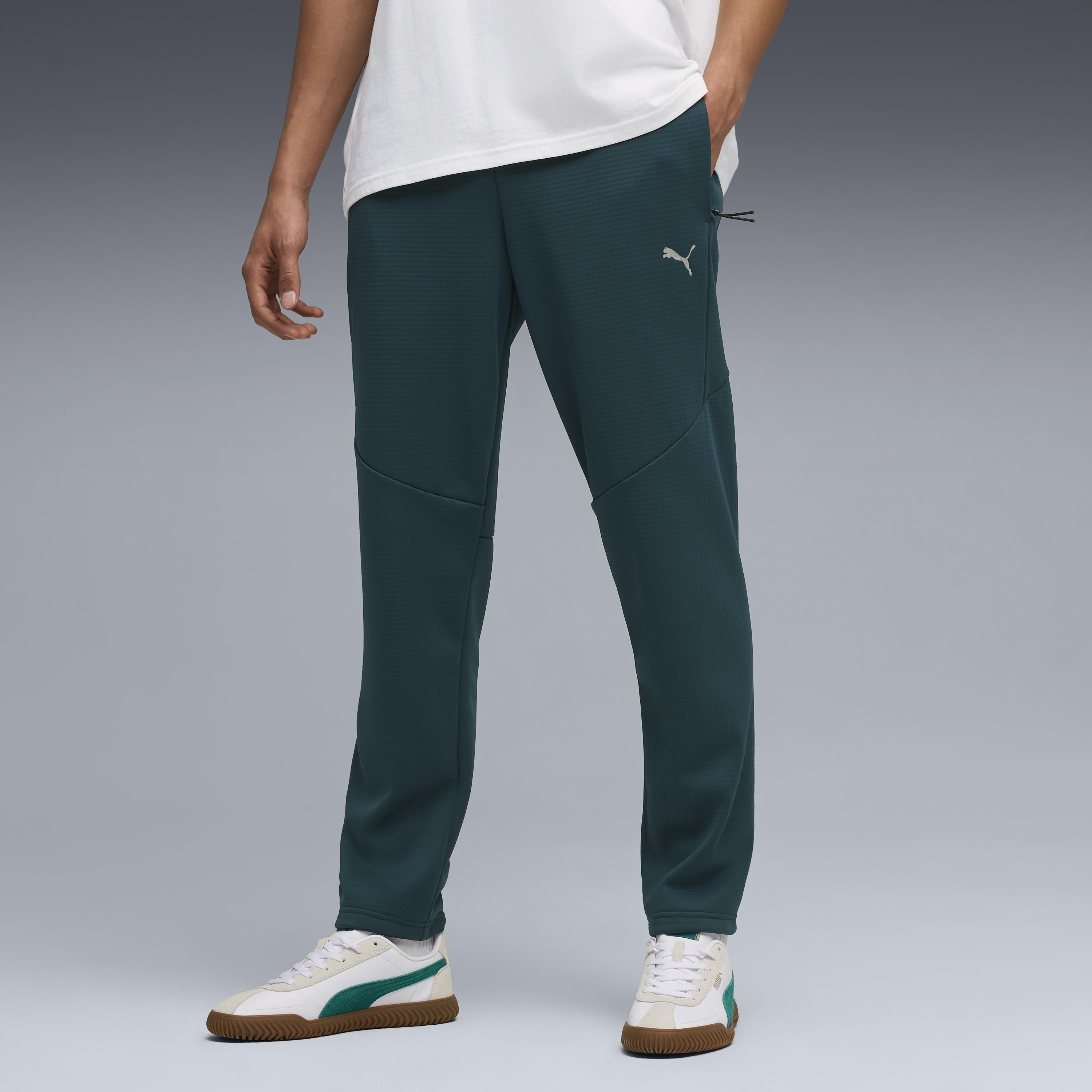 Puma Evostrıpe Warm Pants Erkek Yetişkin Eşofman Altı