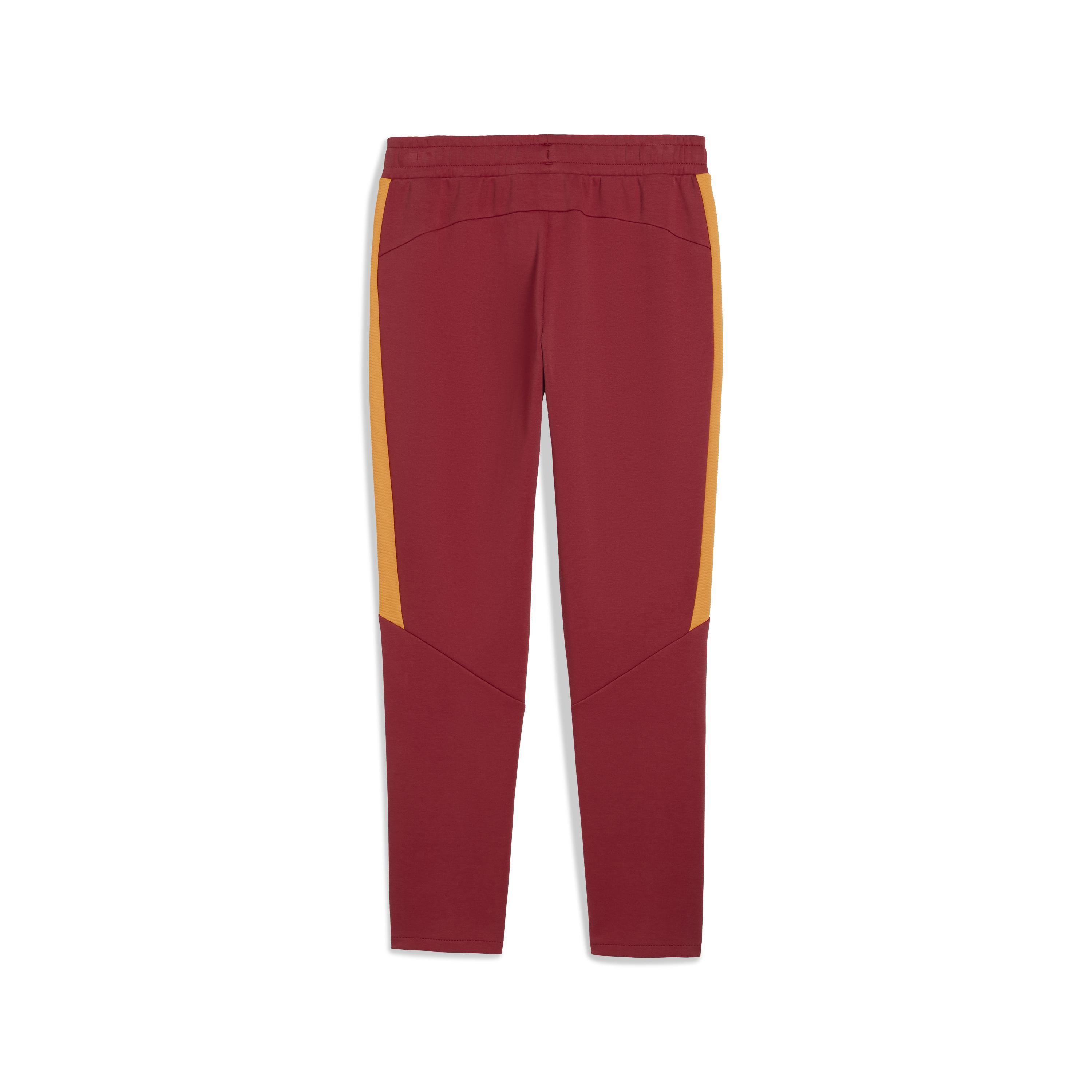 Puma Gsk Evostrıpe Pants Erkek Yetişkin Eşofman Altı