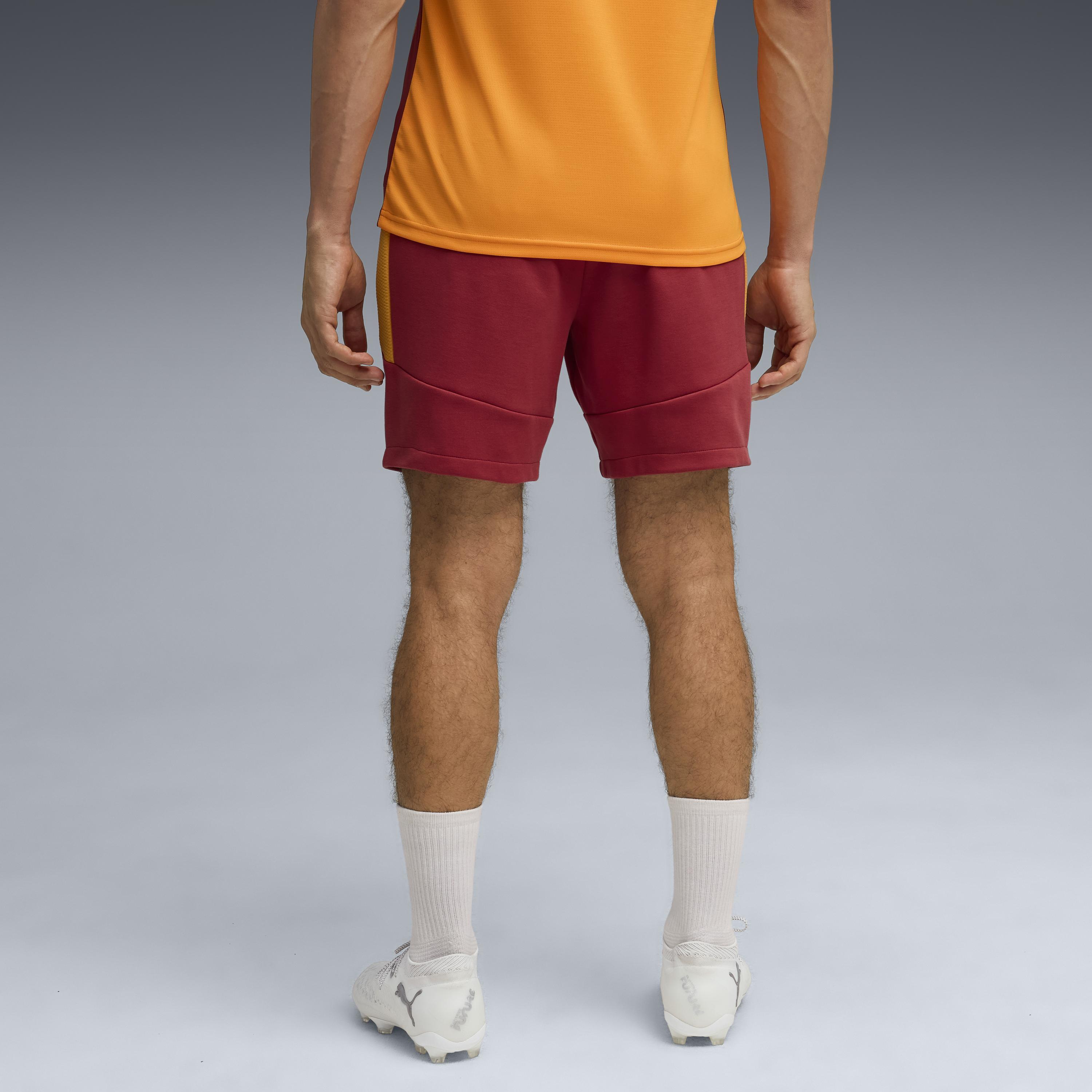 Puma Gsk Evostrıpe Shorts Erkek Yetişkin Şort