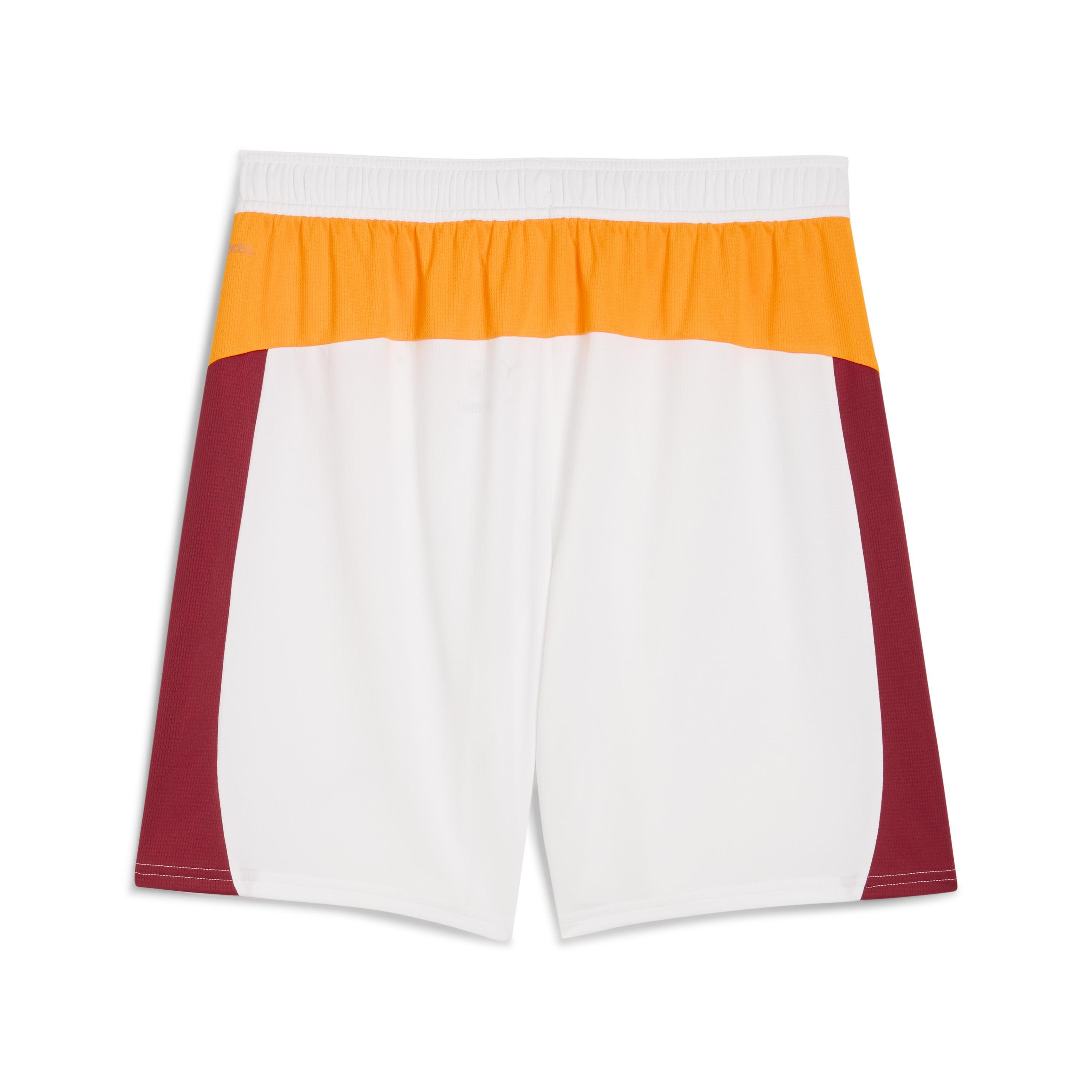 Puma Gsk Shorts Replica W/B W/Osp Erkek Yetişkin Şort