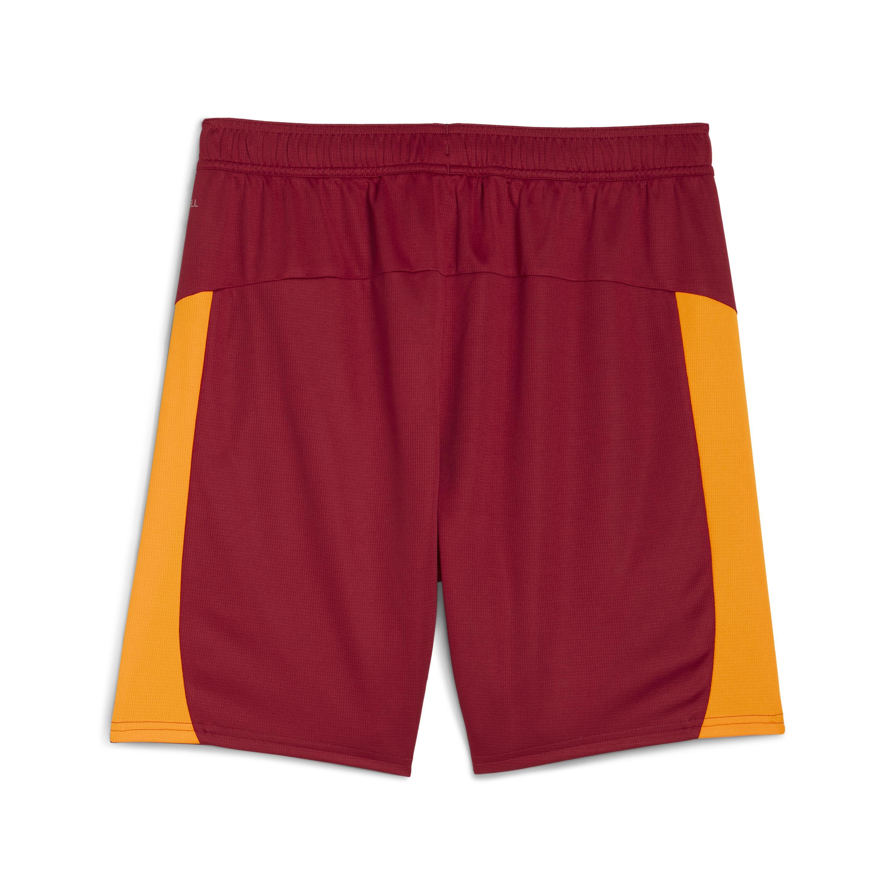 Puma Gsk Shorts Replica W/B W/Osp Erkek Yetişkin Şort