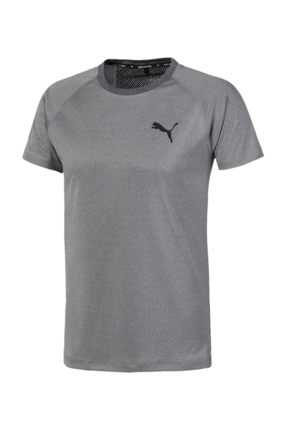 Puma Rtg Tee Erkek Üst & T-shirt - 58150403