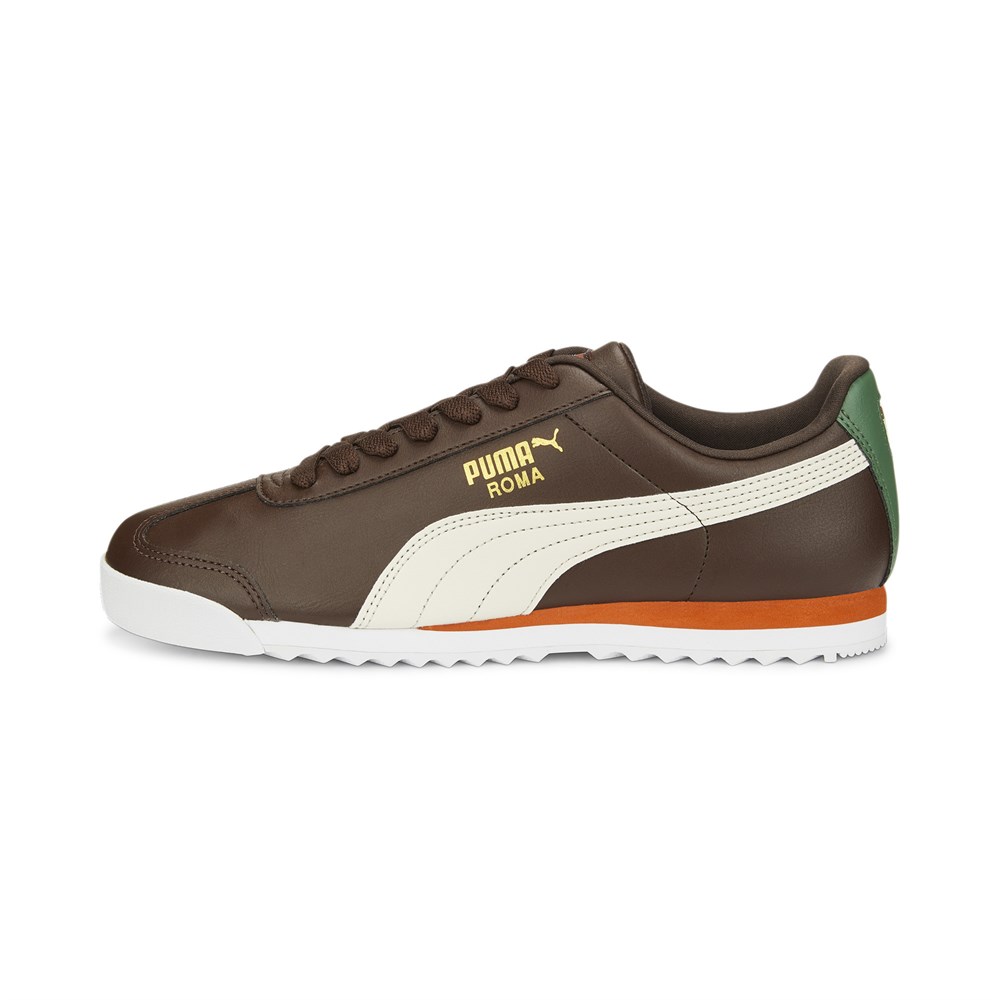 Roma Basic +
