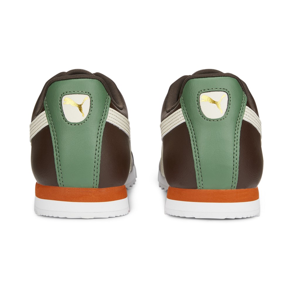 Roma Basic +