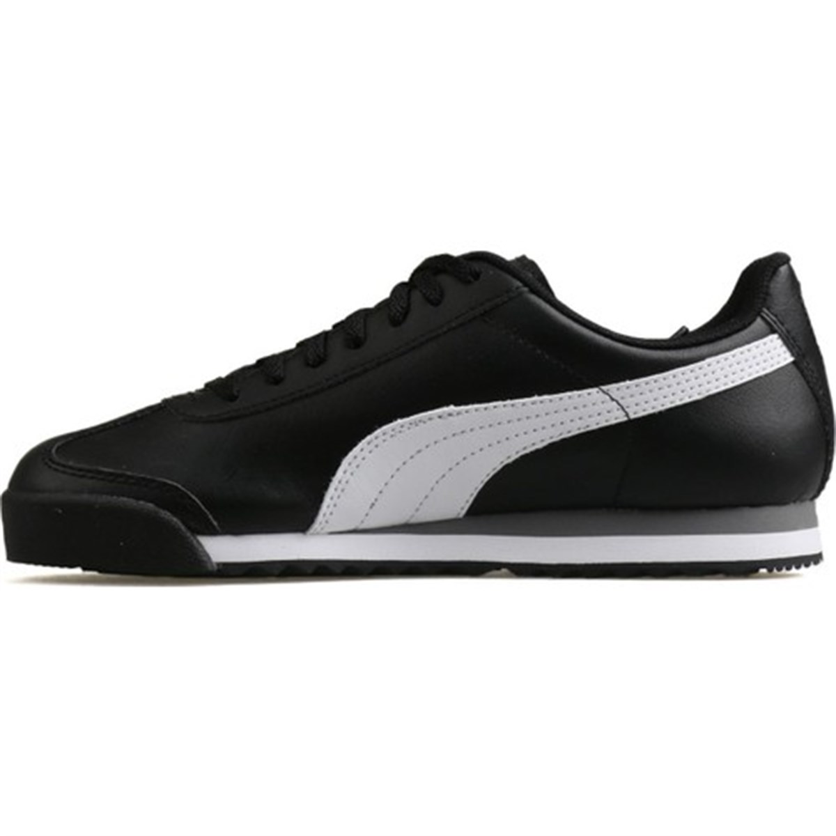 Roma Basic Jr