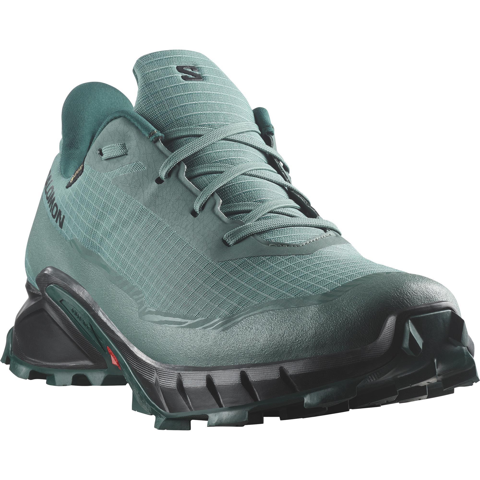 Salomon Alphacross 5 Gtx Erkek Koşu Ayakkabı
