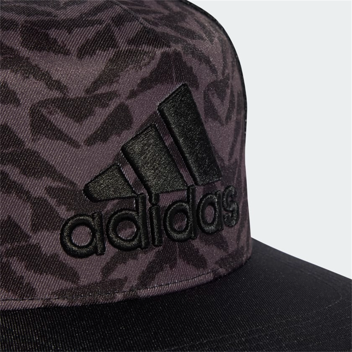 Snap Trucke Cap