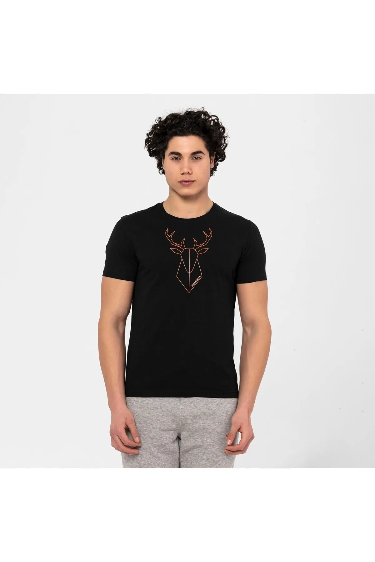 Torc