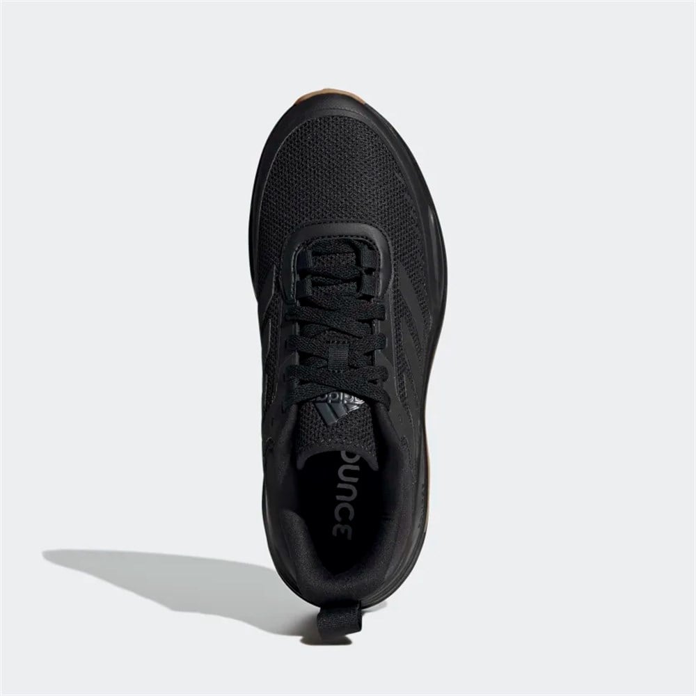 Trainer V