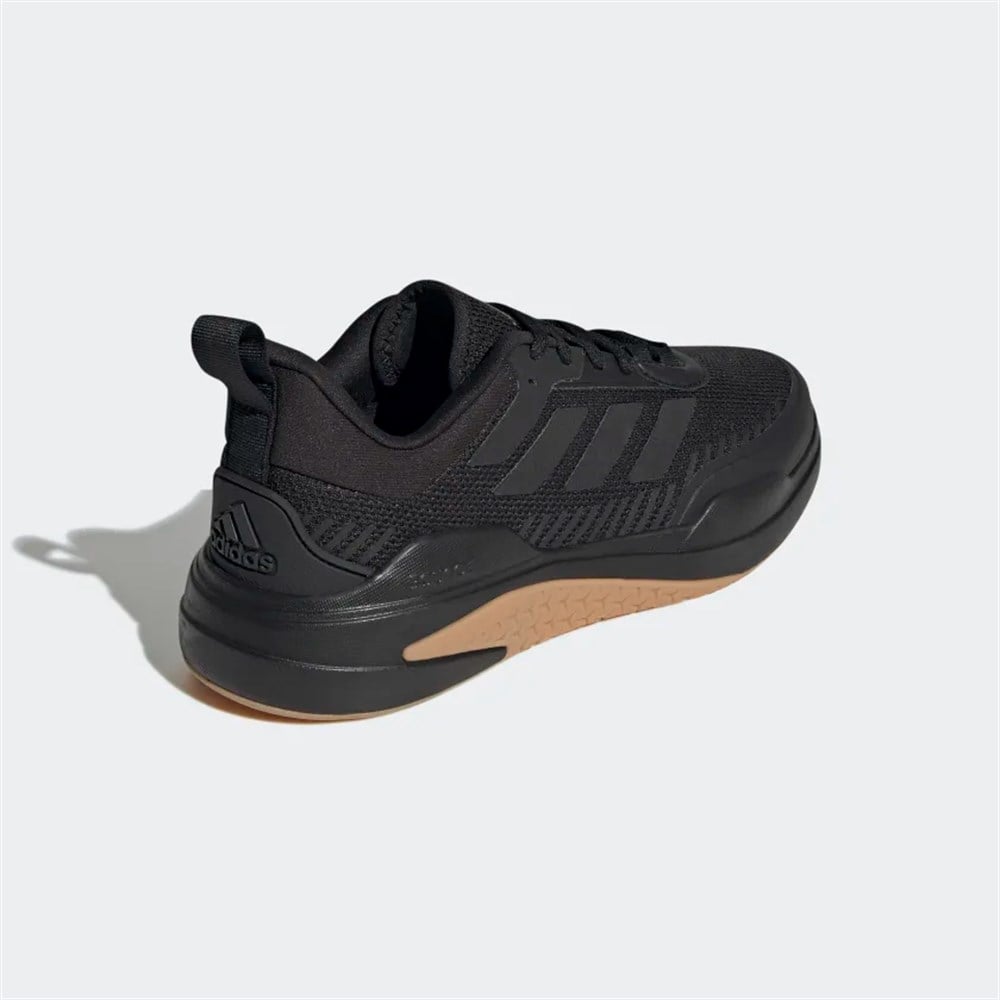Trainer V