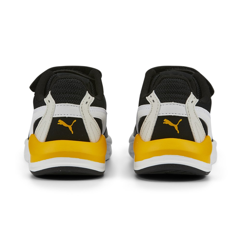 X-Ray Speed Lite Ac Ps