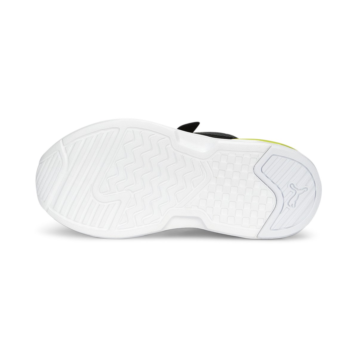 X-Ray Speed Lite Ac Ps