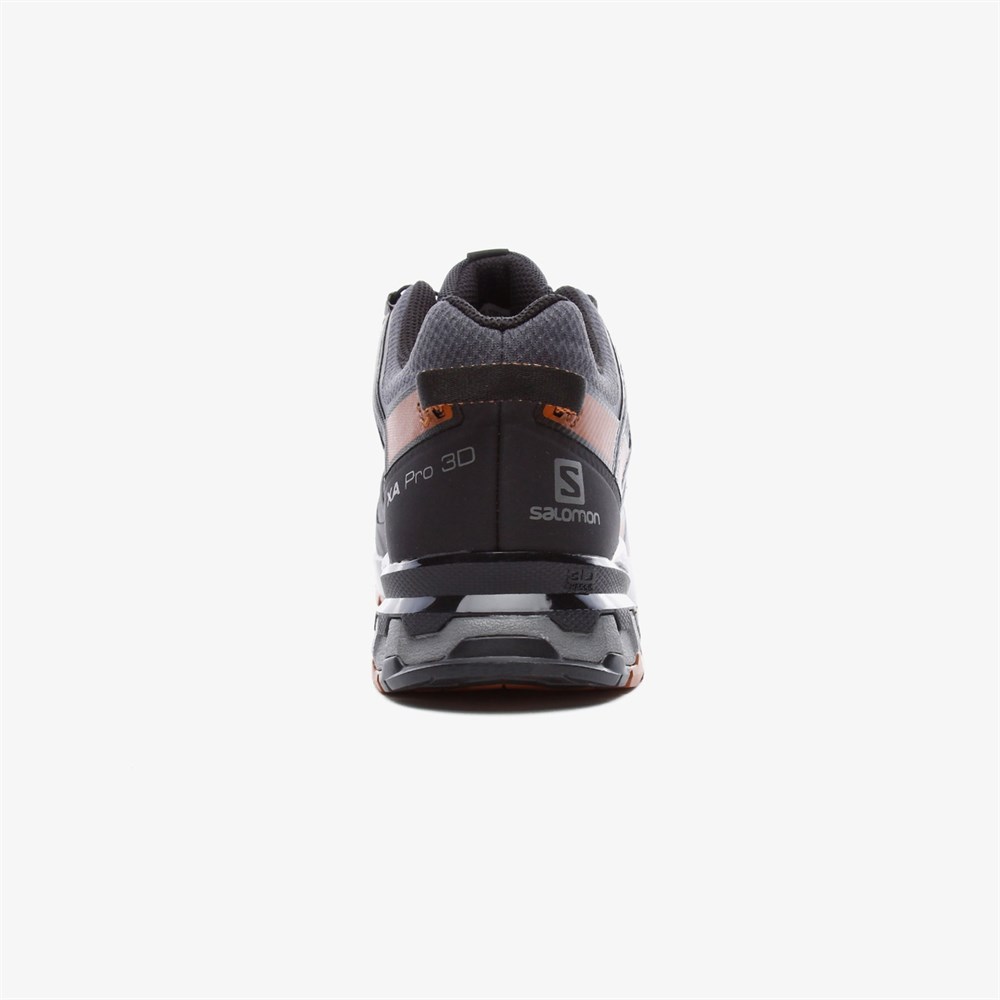 Xa Pro 3D V8 GTX