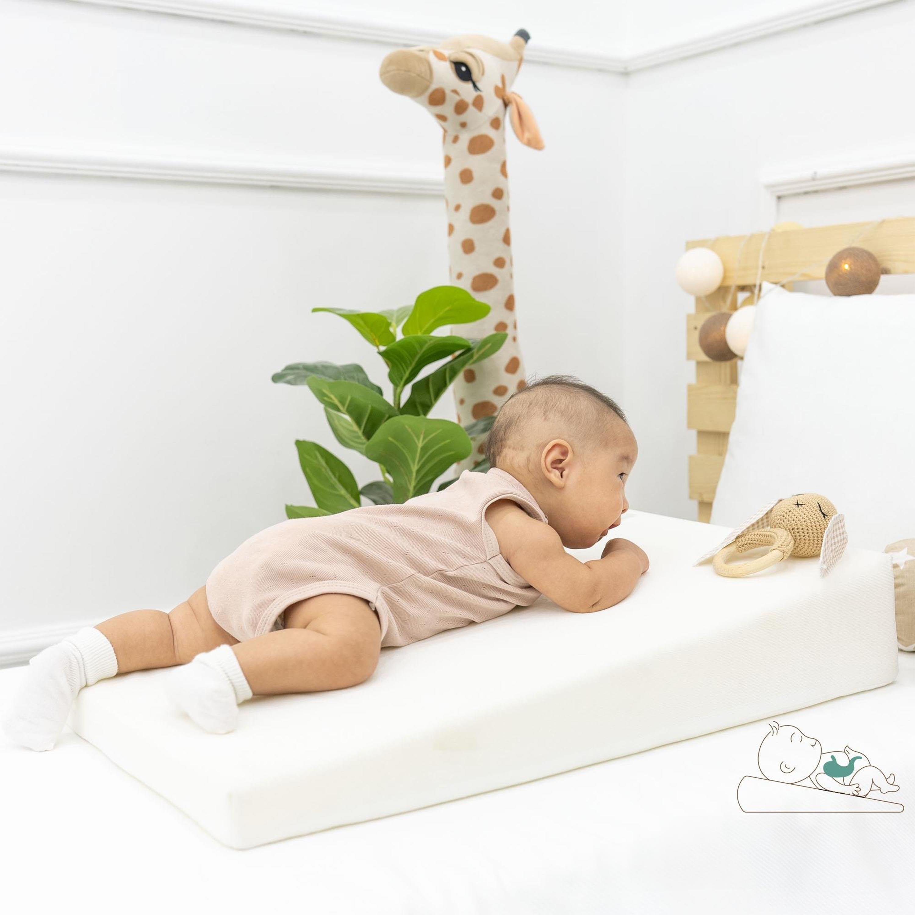 Bebek Reflü Yatağı, Yıkanabilir Fermuarlı Tasarım, Yenidoğan Güvenli Yatış , Lyon Serisi