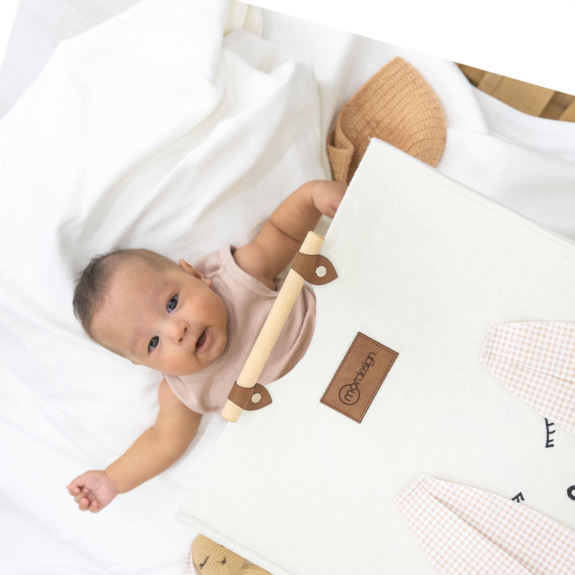 Keçe Çocuk Oyuncak/Kirli Çamaşır Depolama Sepeti, Çok Amaçlı Saklama Sepeti, Morbunny Serisi Pembe 