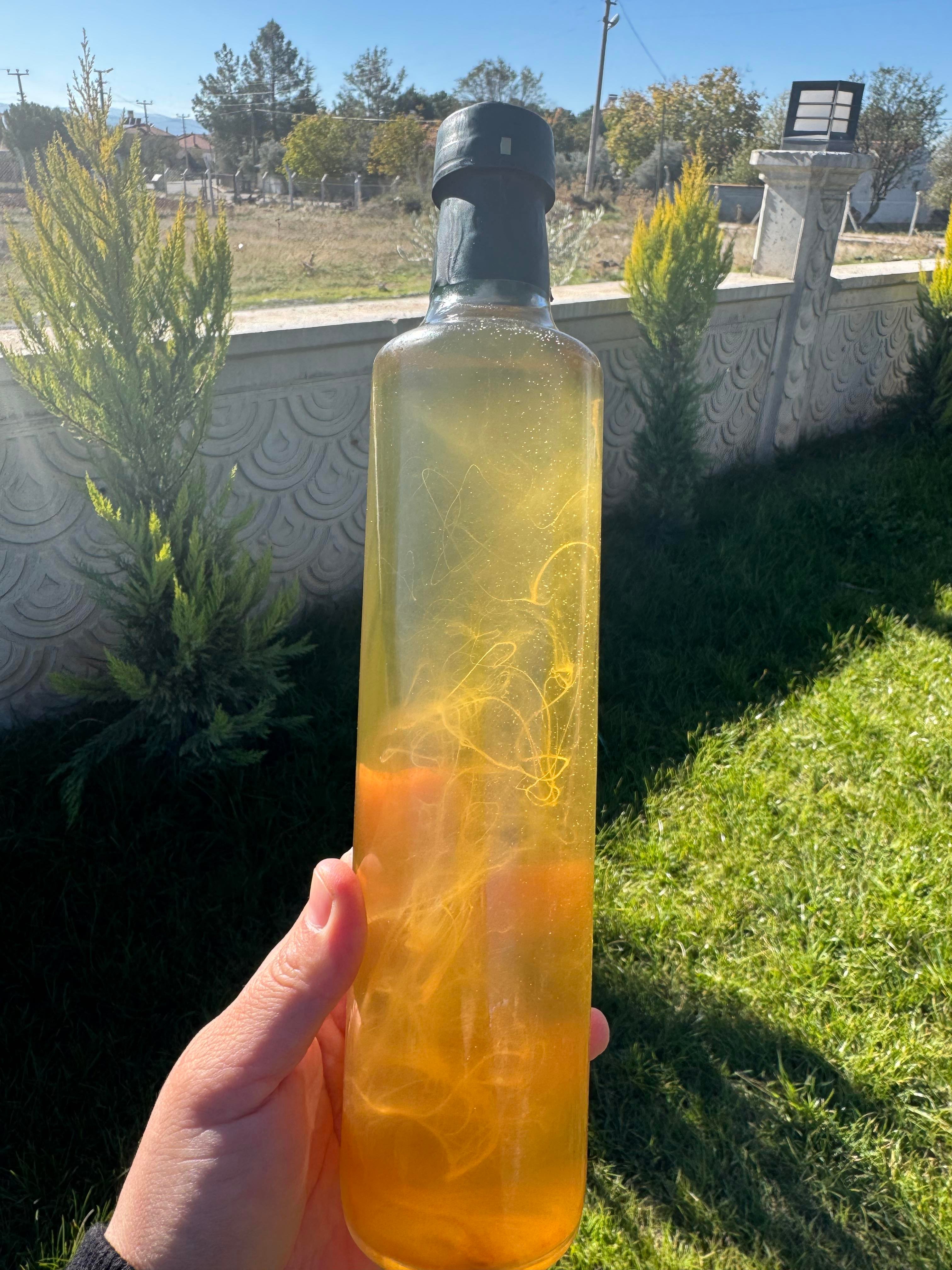 Detoks Sirkesi 500 ML