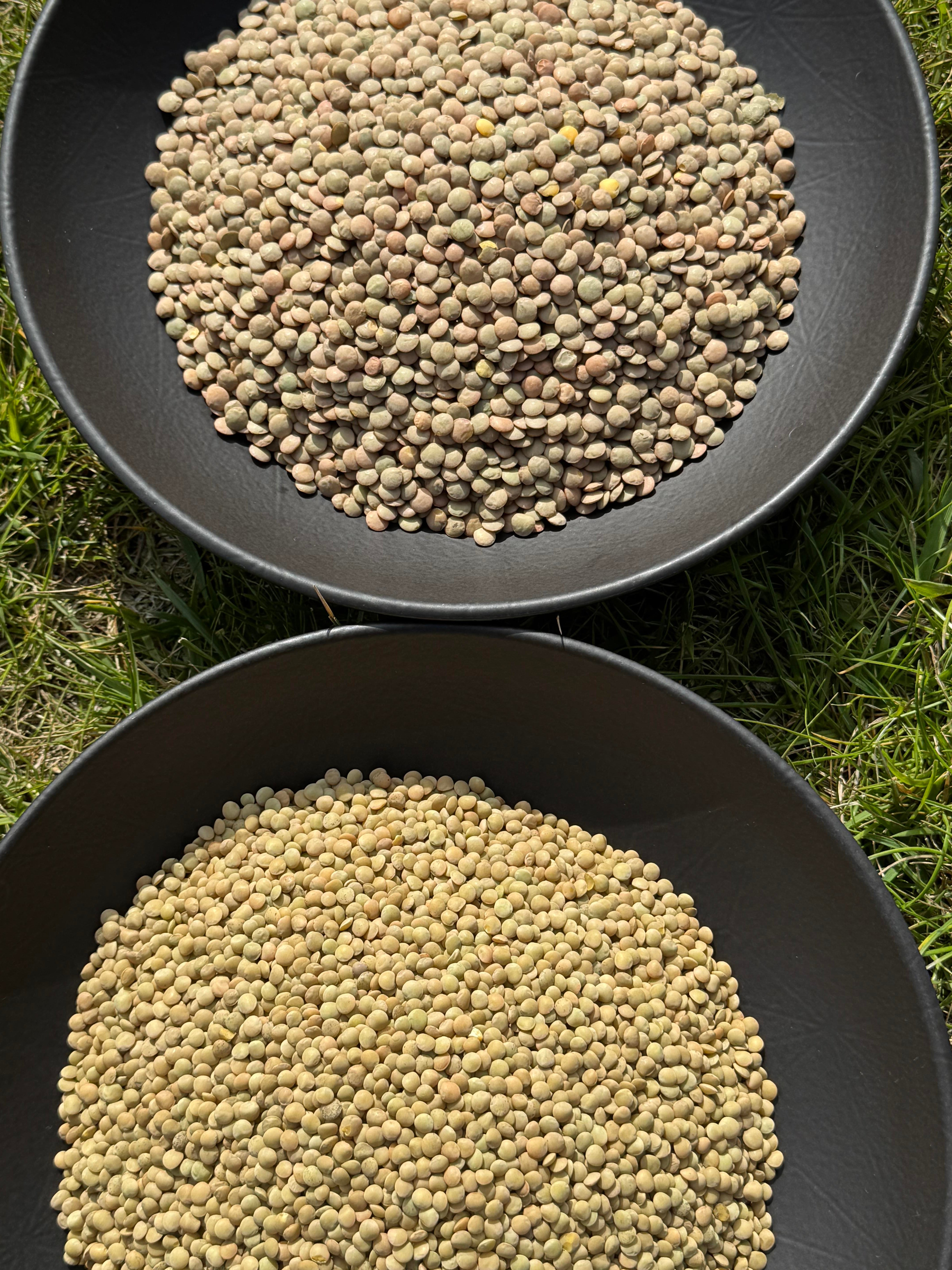 Yeşil Mercimek (Mini Taneli)