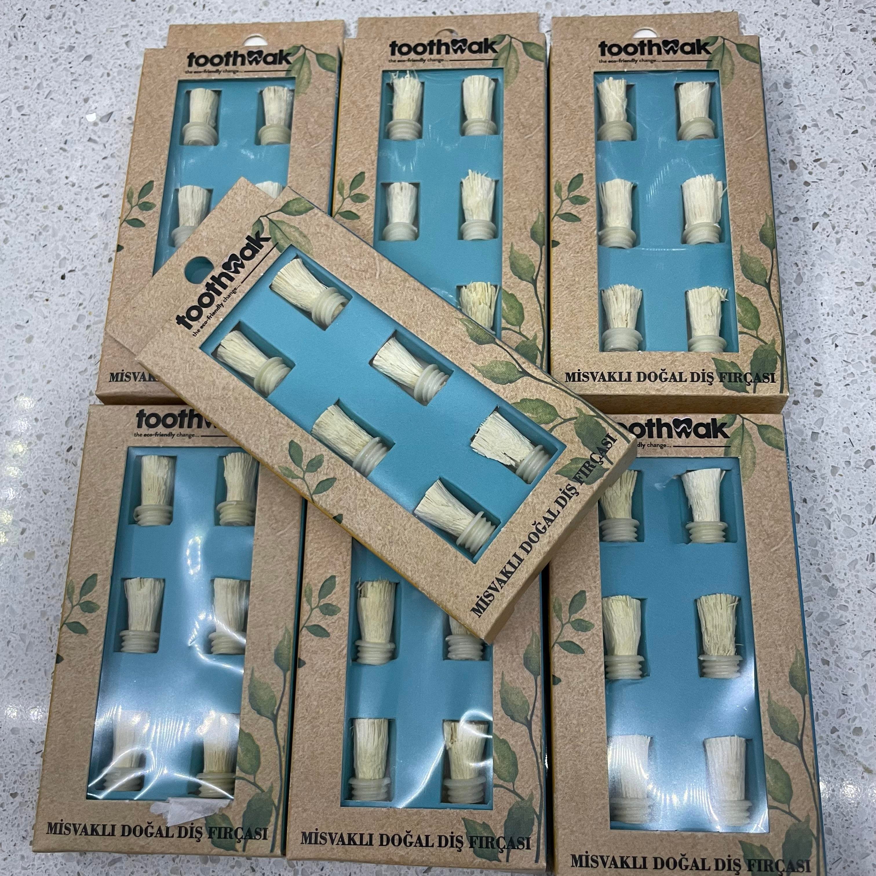 Misvak Değişebilen Fırça Başlıkları (6 lı)