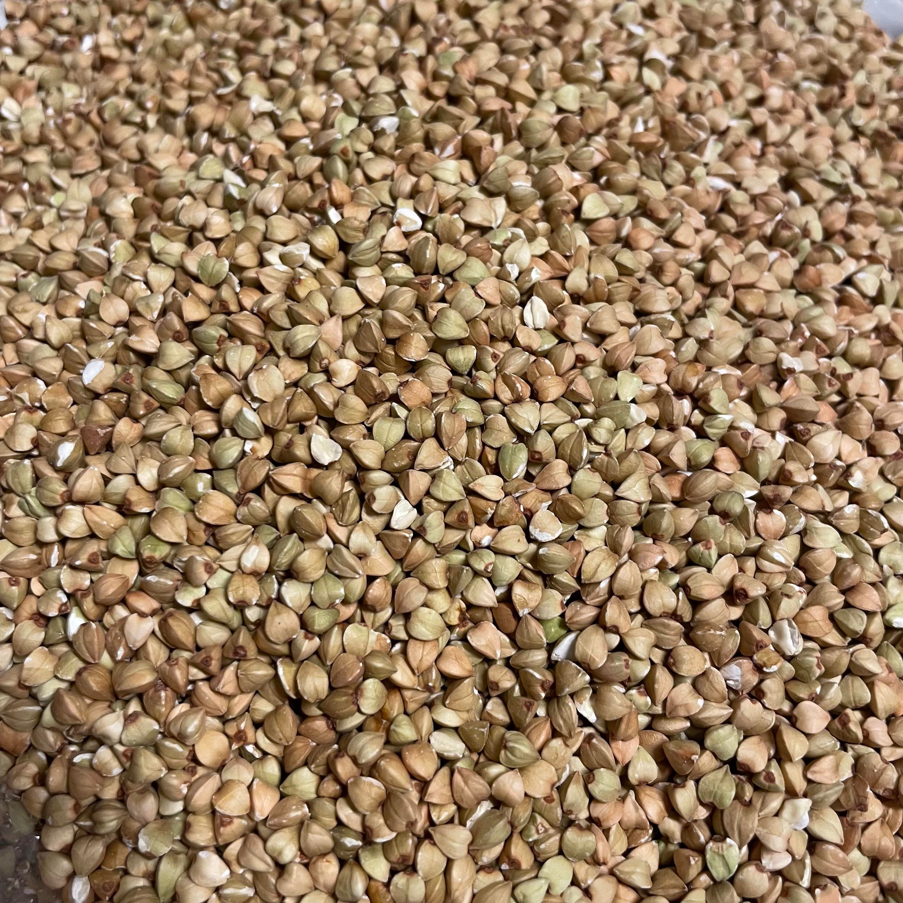 Çiğ Greçka (Karabuğday) Tane