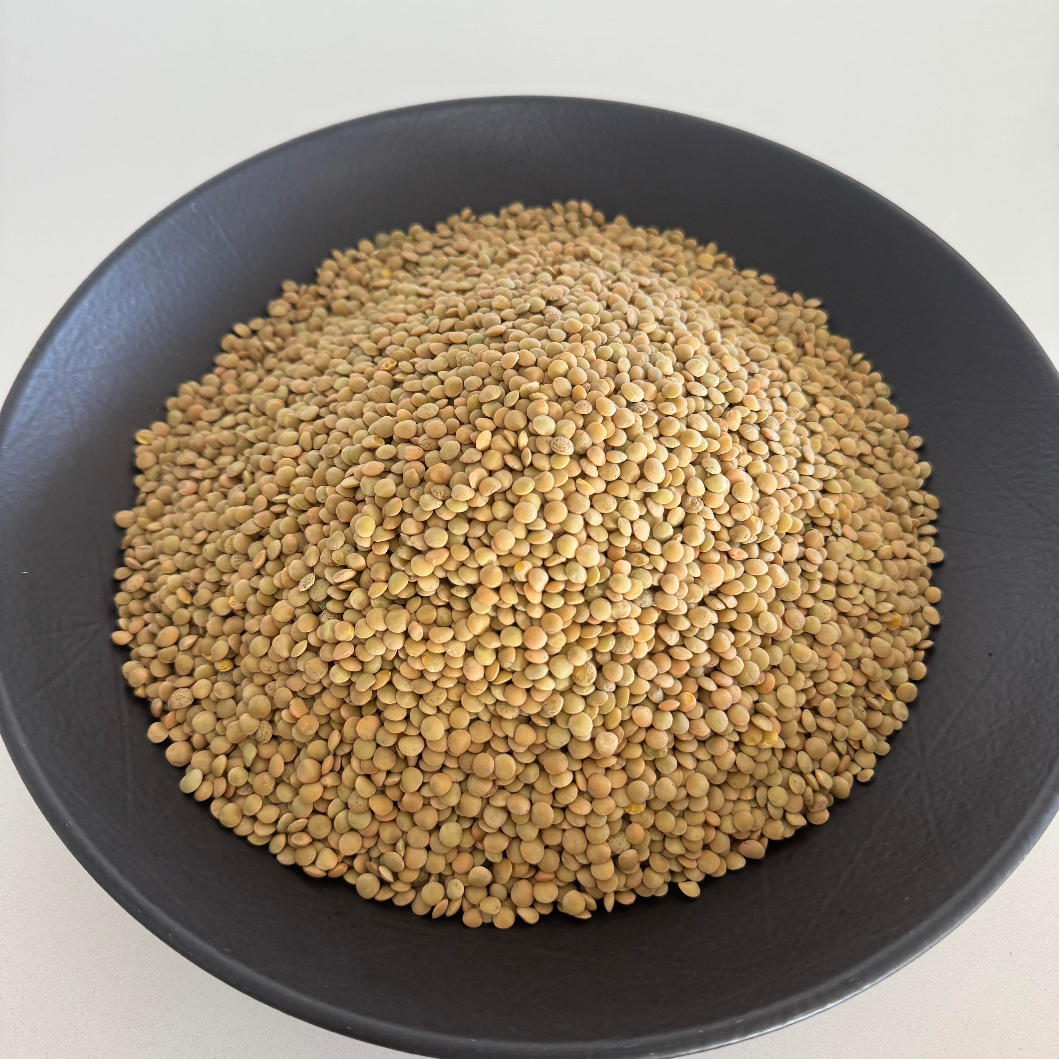 Yeşil Mercimek (Mini Taneli)