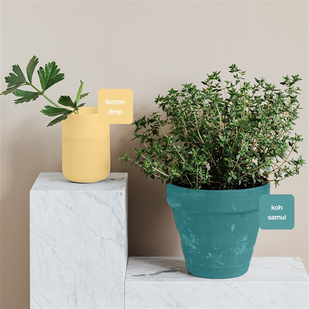 Lemon Drop Multisurface