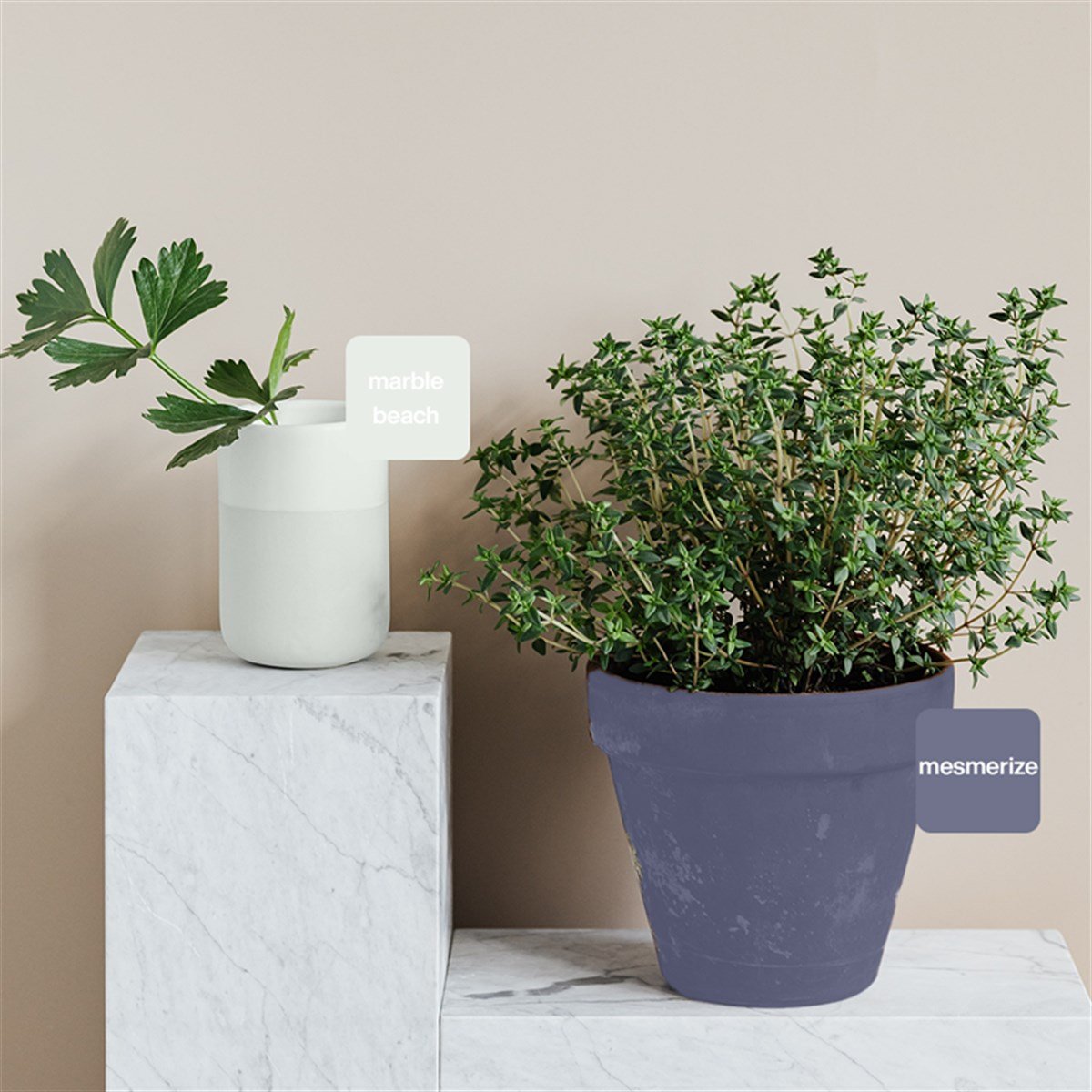 Mesmerize Multisurface