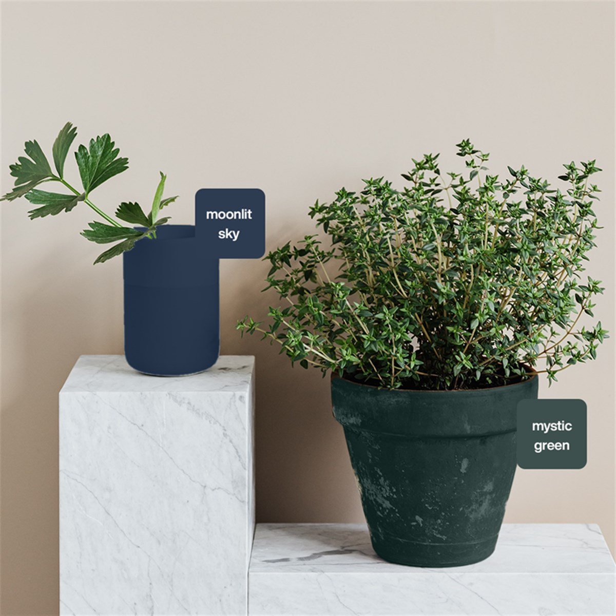 Moonlit Sky Multisurface