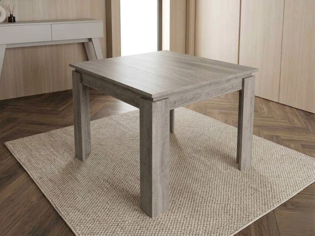 SPACE-X LITE DINING TABLE