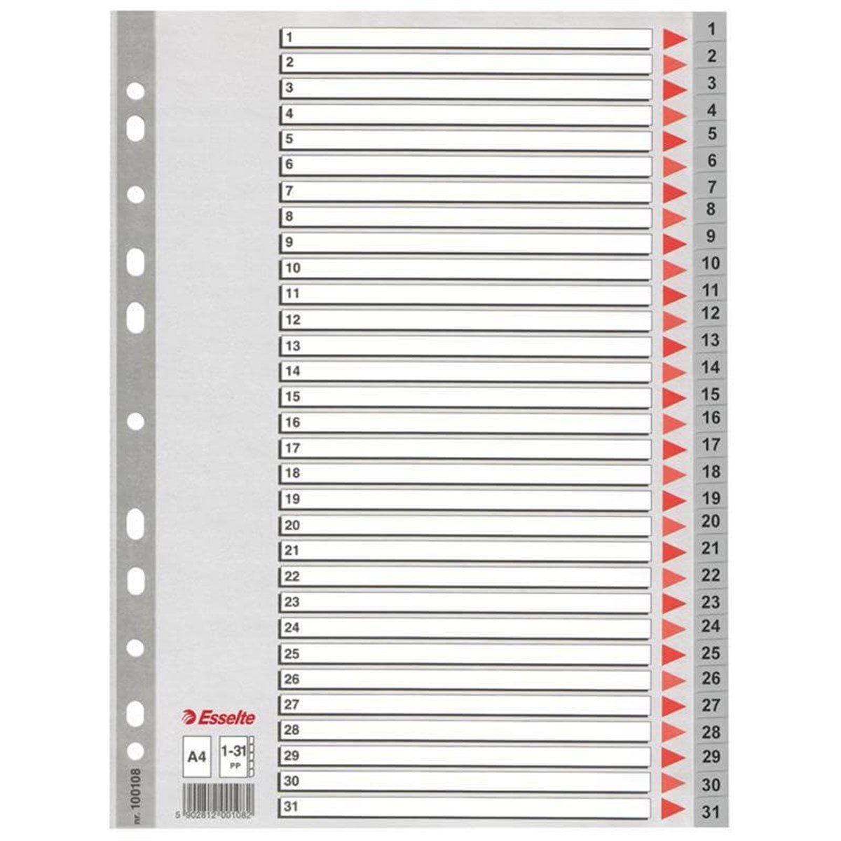 Esselte 1-31 Ayraç 100108