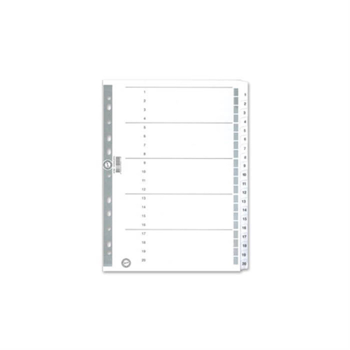 Serve 1-20 Rakamlı Ayraç 5326