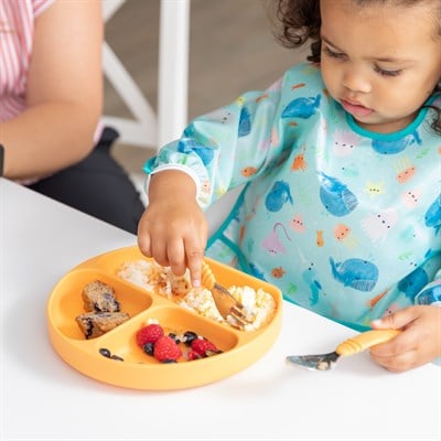 Bumkins Uzun Kollu Önlük (6-24 ay) - Ocean Life