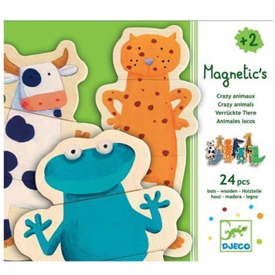 Djeco Mıknatıslı Oyunlar / Crazy