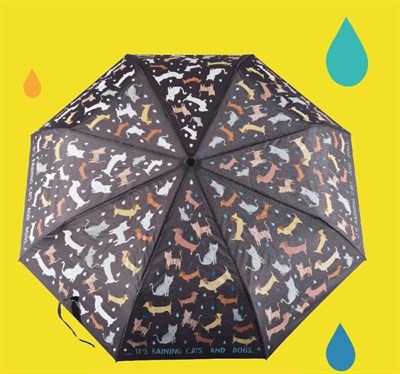 Floss & Rock Renk Değiştiren Şemsiye - Raining Cats & Dogs