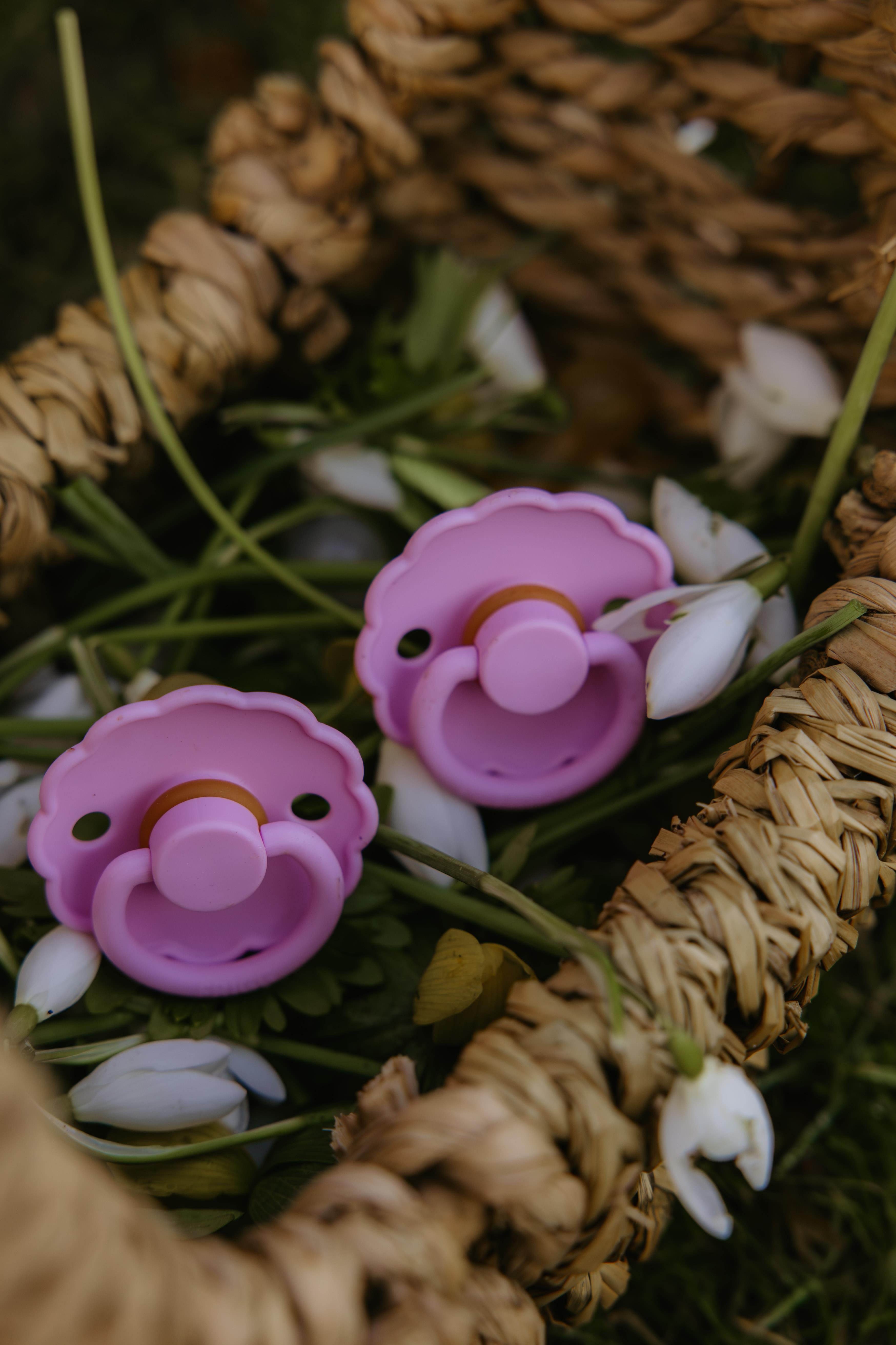 FRIGG Daisy İkili Kauçuk Emzik - Cream/Lupine