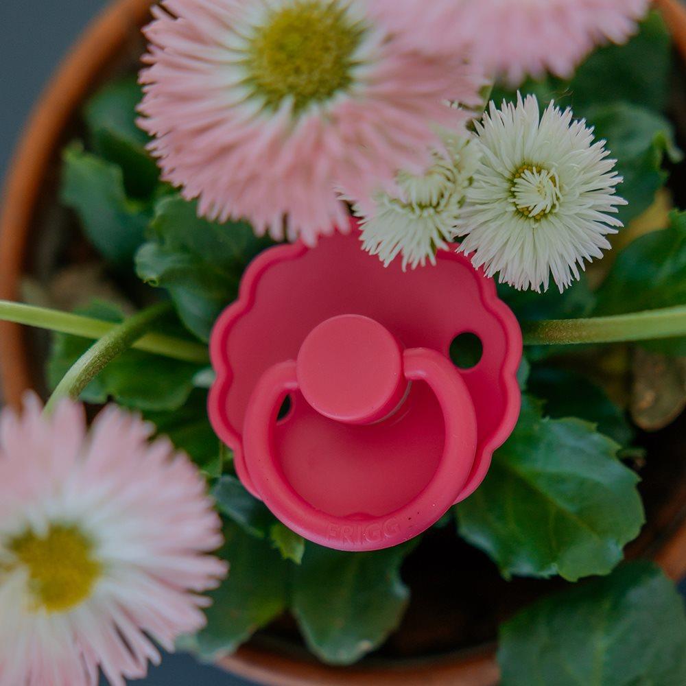 FRIGG Daisy İkili Kauçuk Emzik - Soft Lilac/Fuchsia