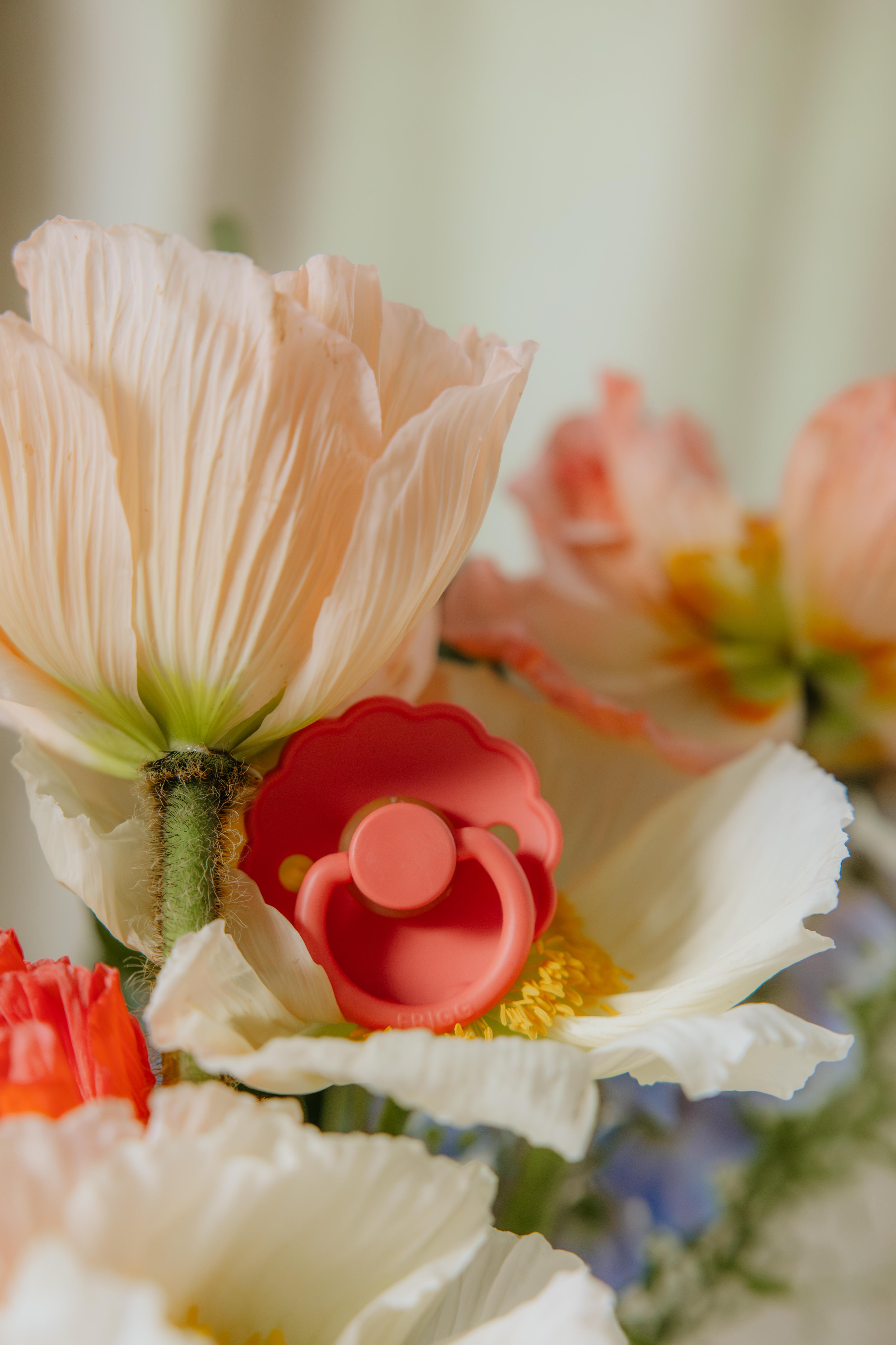 FRIGG Daisy Kauçuk Emzik - Poppy