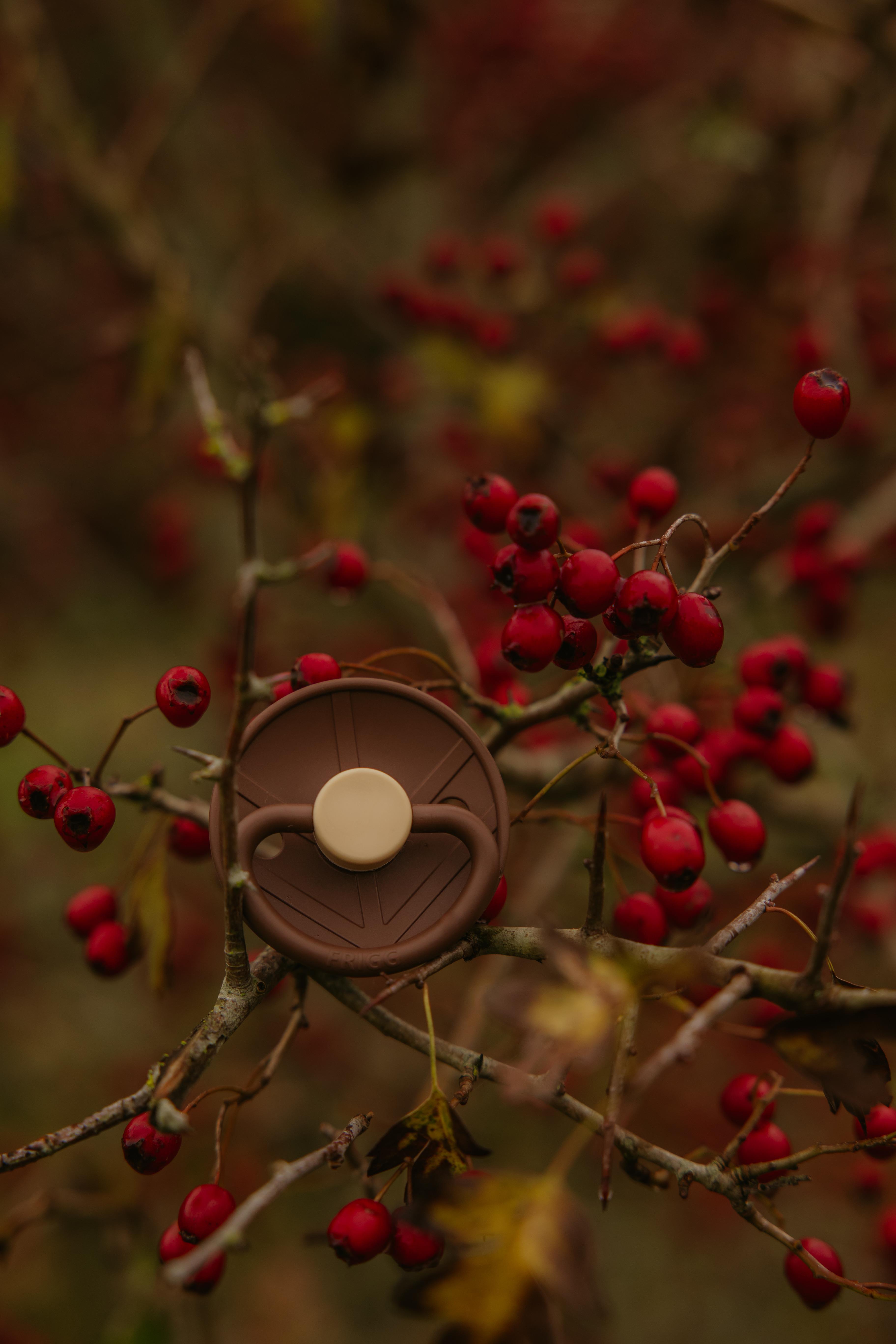 FRIGG Little Viking Kauçuk Emzik - Bjorn Cocoa