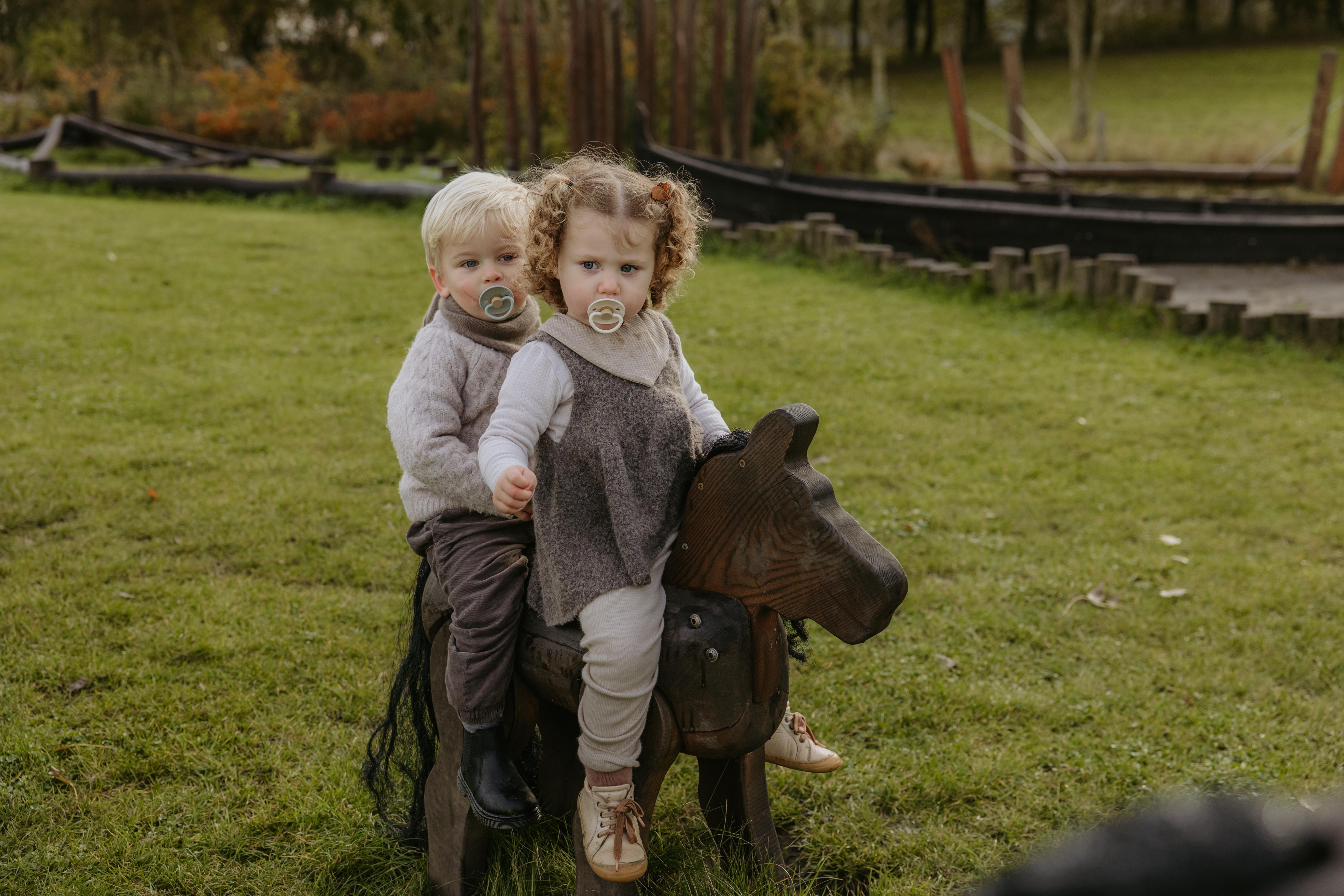 FRIGG Little Viking Kauçuk Emzik - Holger Sage