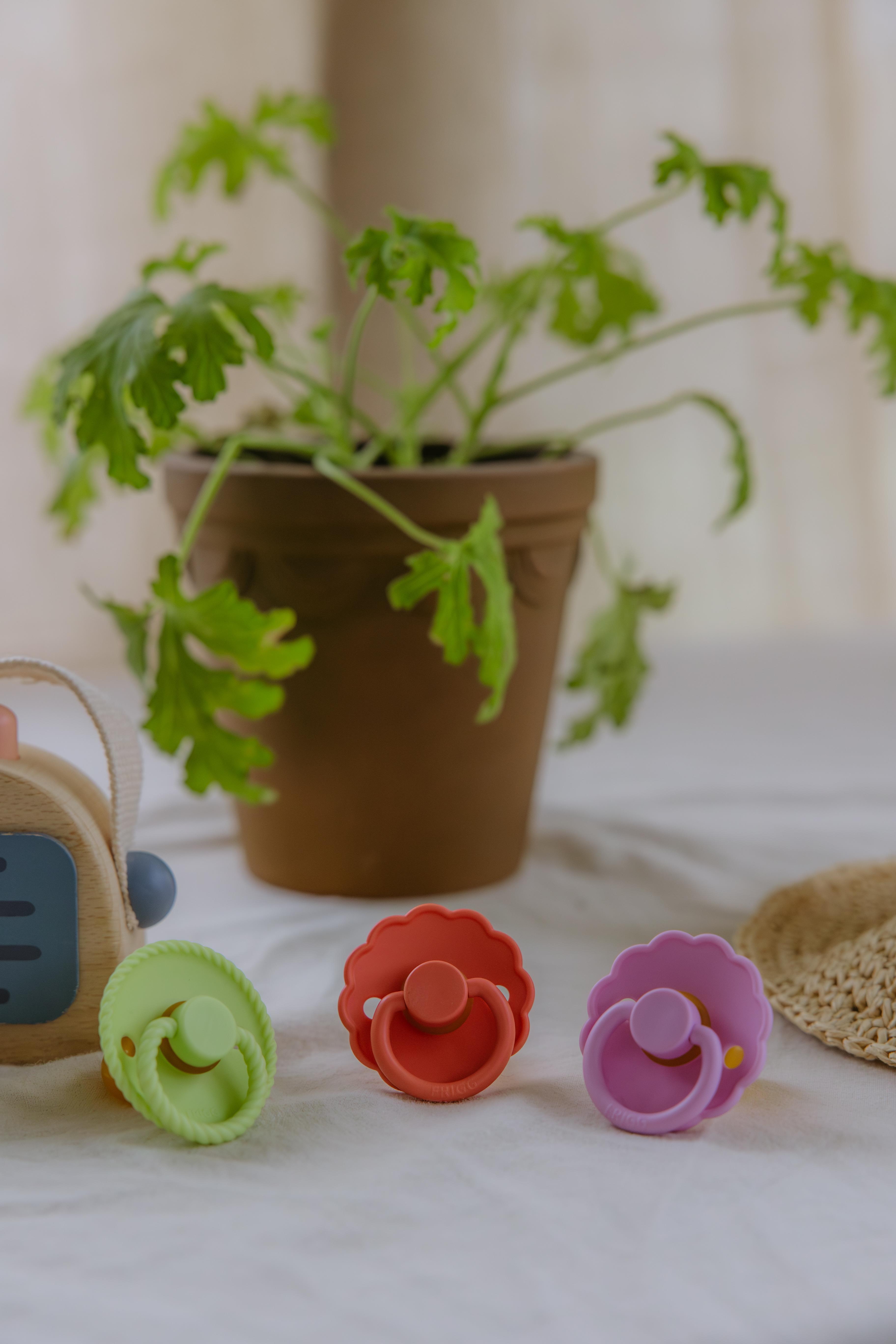 FRIGG Rope Kauçuk Emzik - Green Tea