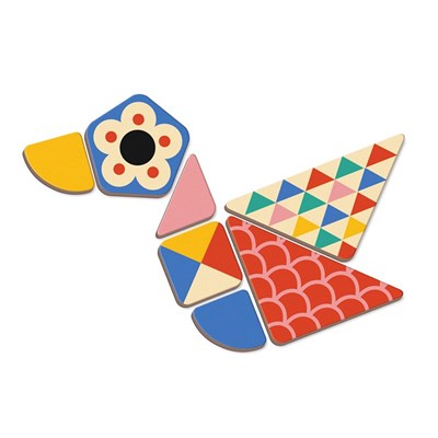 Janod Mıknatıslı Oyun Kitabı Şekiller