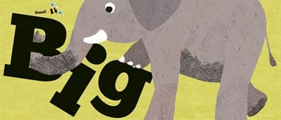 Little Tiger My Book of Opposites