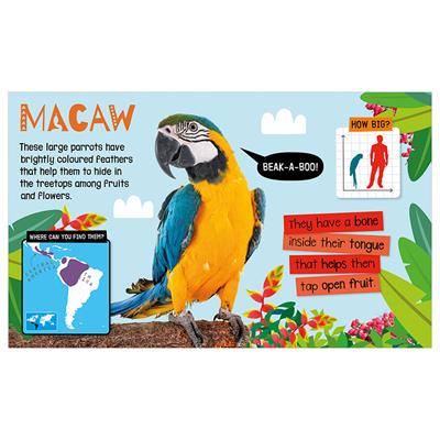 Make Believe Ideas - My Awesome Jungle Book