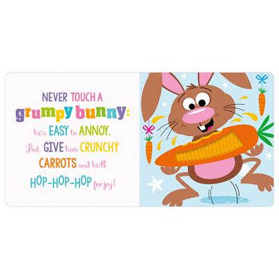 Make Believe Ideas - Never Touch a Grumpy Bunny!