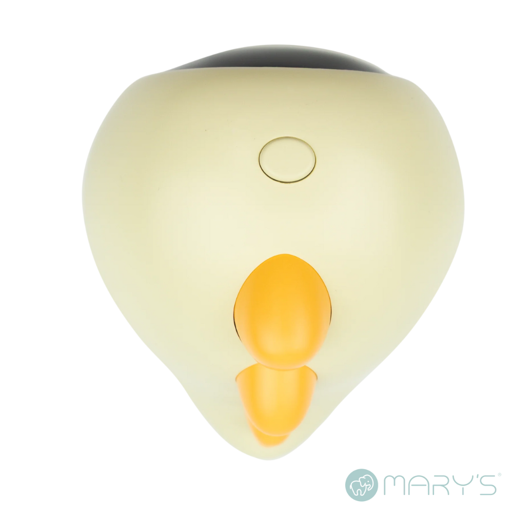 Mary's Baby Dino Sarı Çalar Saat