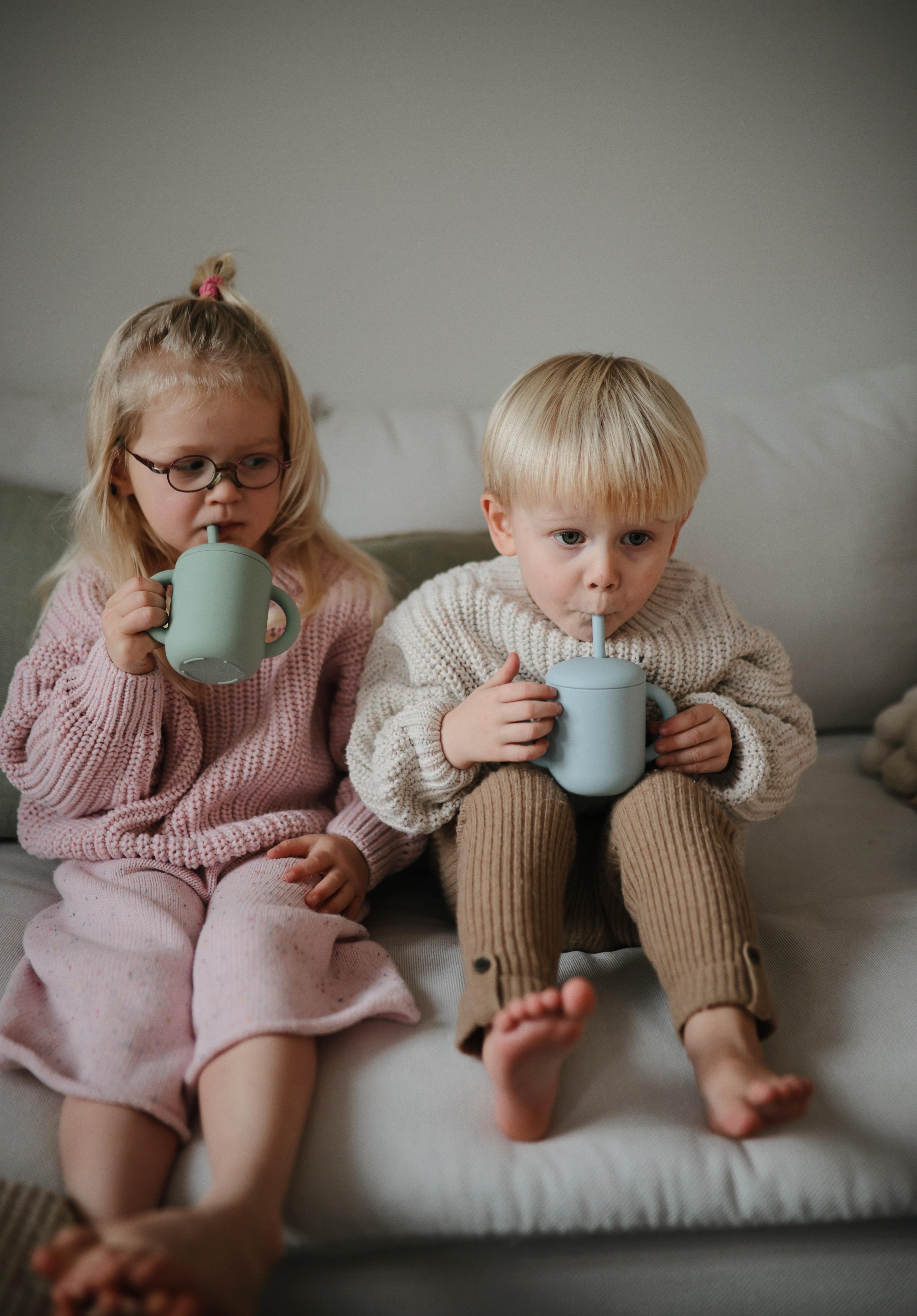 Mushie Pipetli Silikon Alıştırma Bardağı - Whales