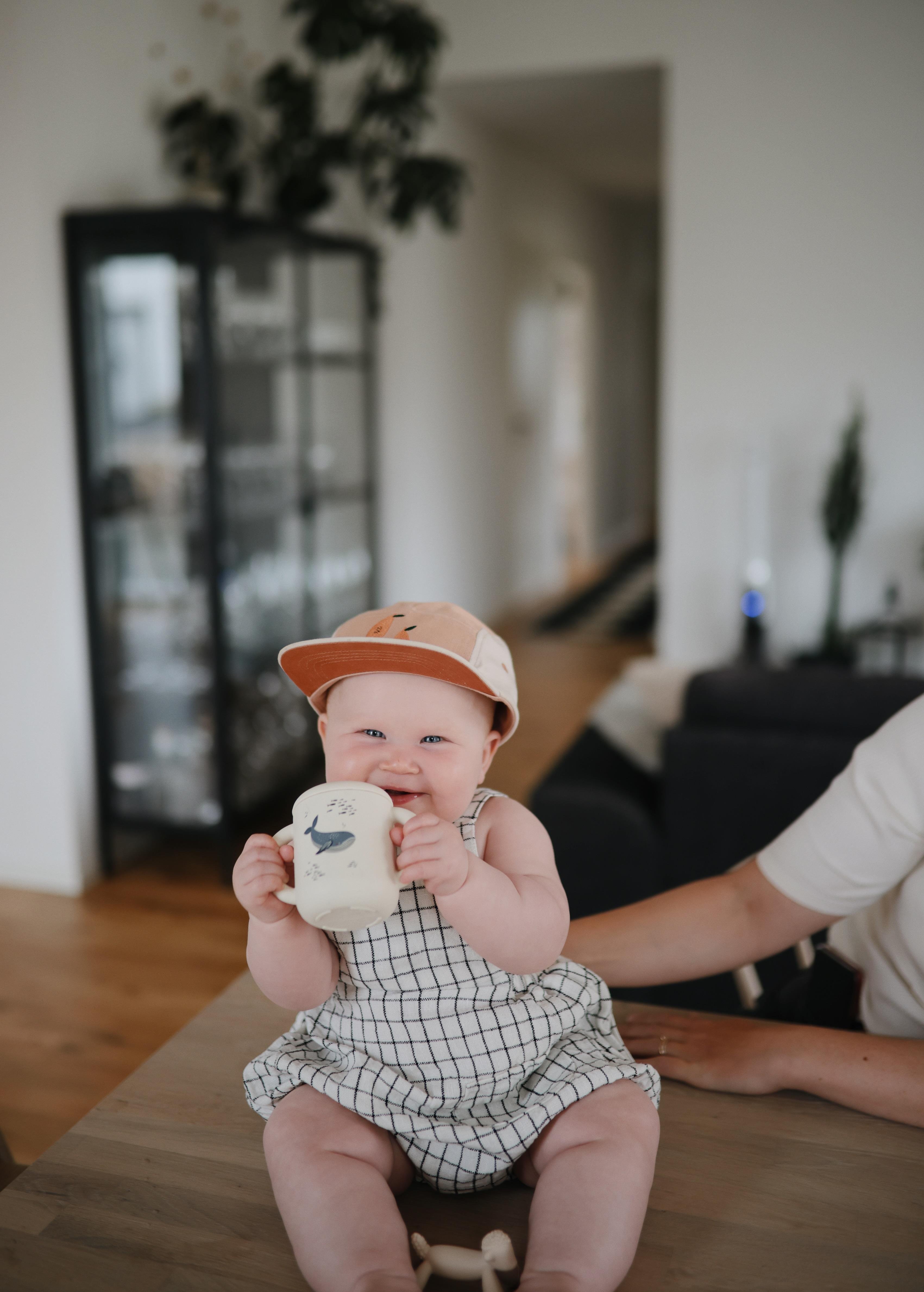 Mushie Pipetli Silikon Alıştırma Bardağı - Whales